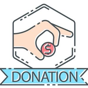 Steve Madden Midnight Ankle booties- stone